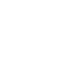 lesaffre-w