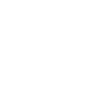 opel-w